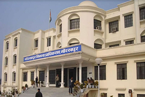 About the Department